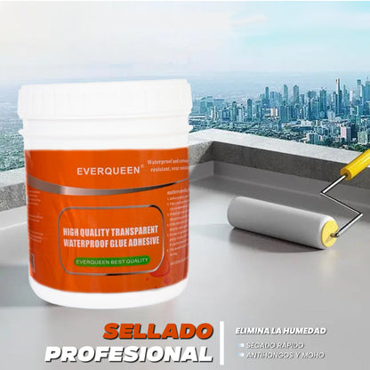 PROMO 2X1 SELLADOR IMPERMEABILIZANTE + CINTA ULTRA FUERTE
